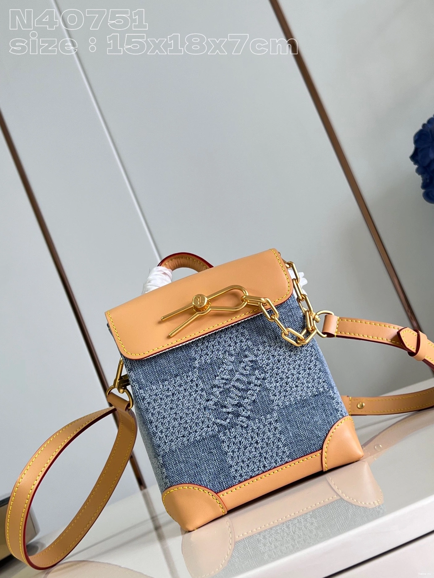 Nano LOUIS VUITTON Steamer 0718